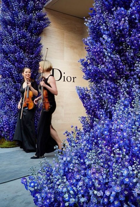 String Performance at Dior Flagship Opening Urban Soul Orchestra violinists in black performing beside tall blue delphinium displays at a Dior storefront